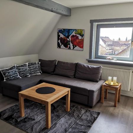 Schoene Ferienwohnung Fuer 6 Personen Erwartet Sie Im Oberharz Sankt Andreasberg Exterior foto